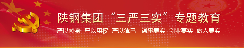 陕钢集团“三严三实”专题教育