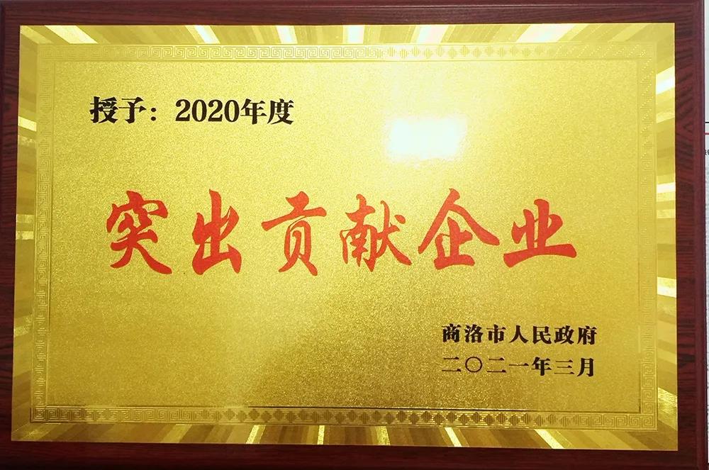 龙钢集团大西沟矿业公司获商洛市“2020年度突出贡献企业奖”殊荣