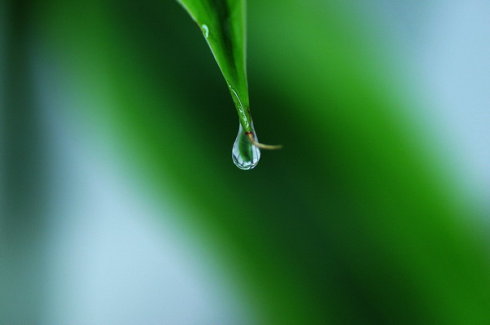 我是一滴水