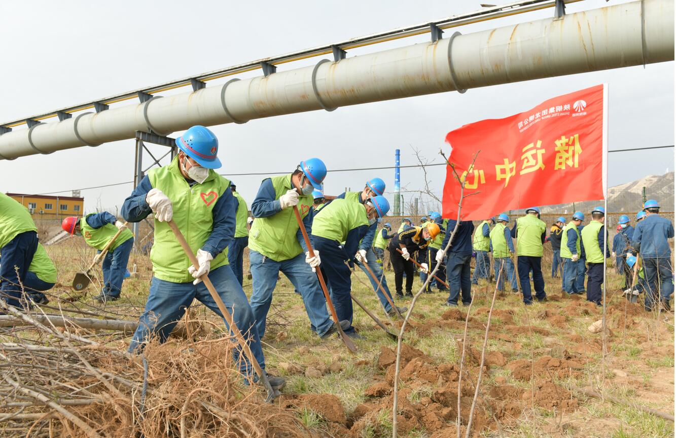 青春接力心向党 我与企业共成长 ——记龙钢公司储运中心志愿者服务队