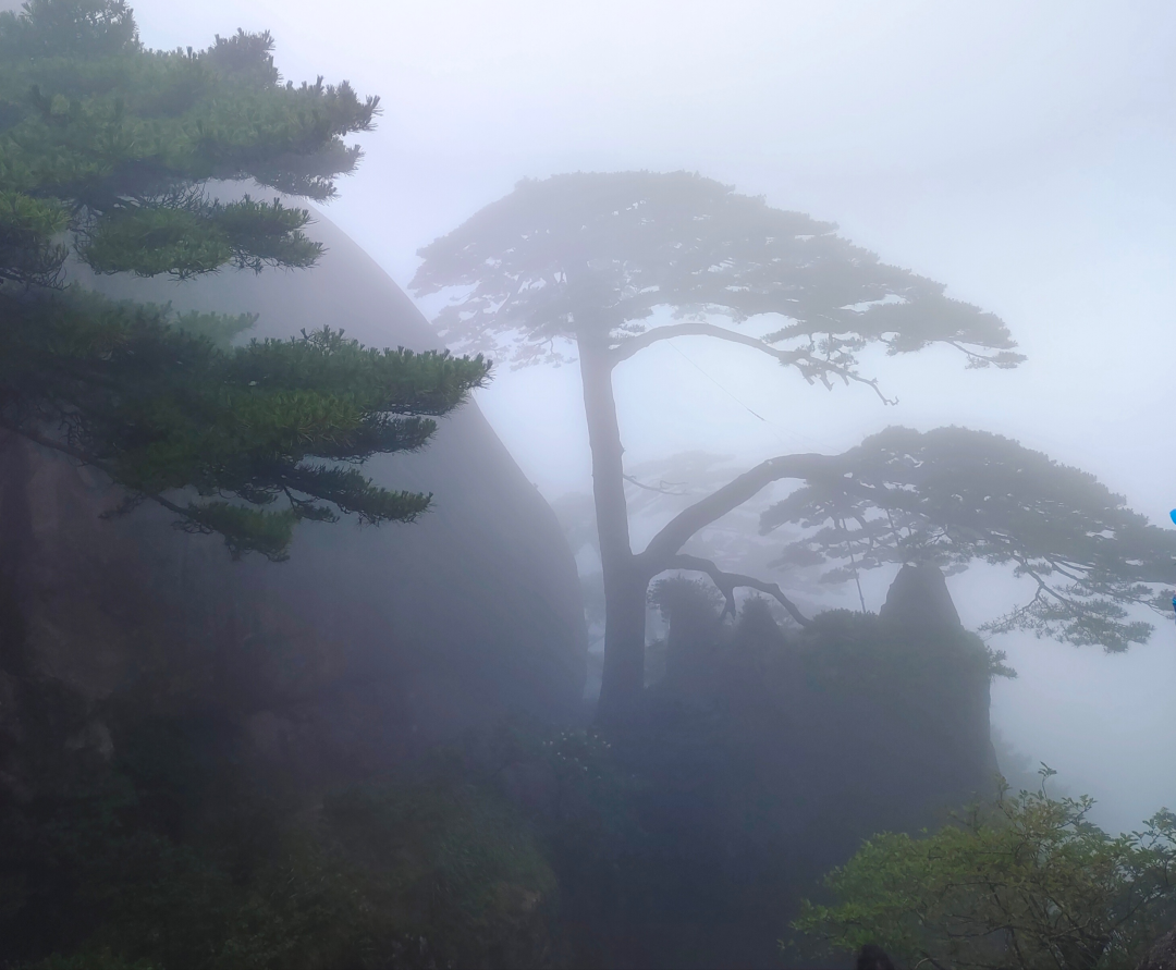 游黄山