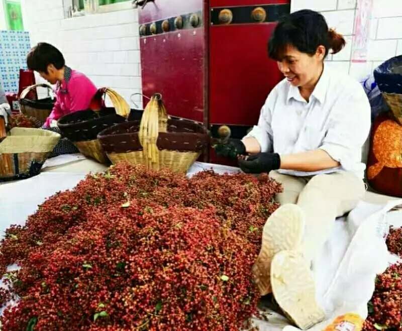 椒香韩塬