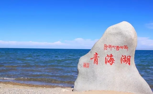 一路奔向青海湖