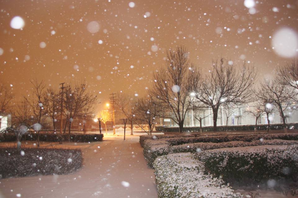 雪夜盼安