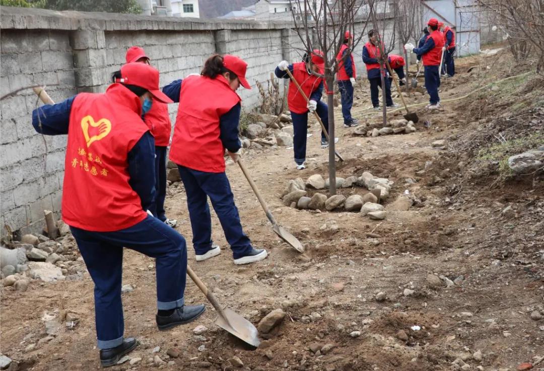 彰显青年力量，龙钢集团共青团志愿服务之花灿烂绽放