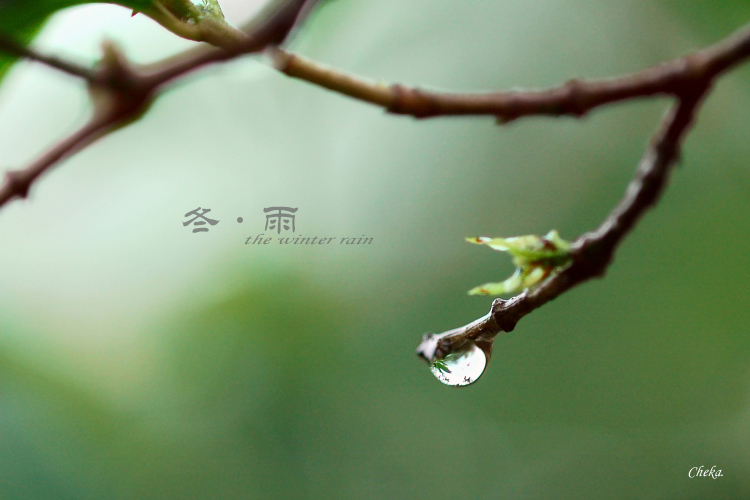 汉钢公司：冬天的雨