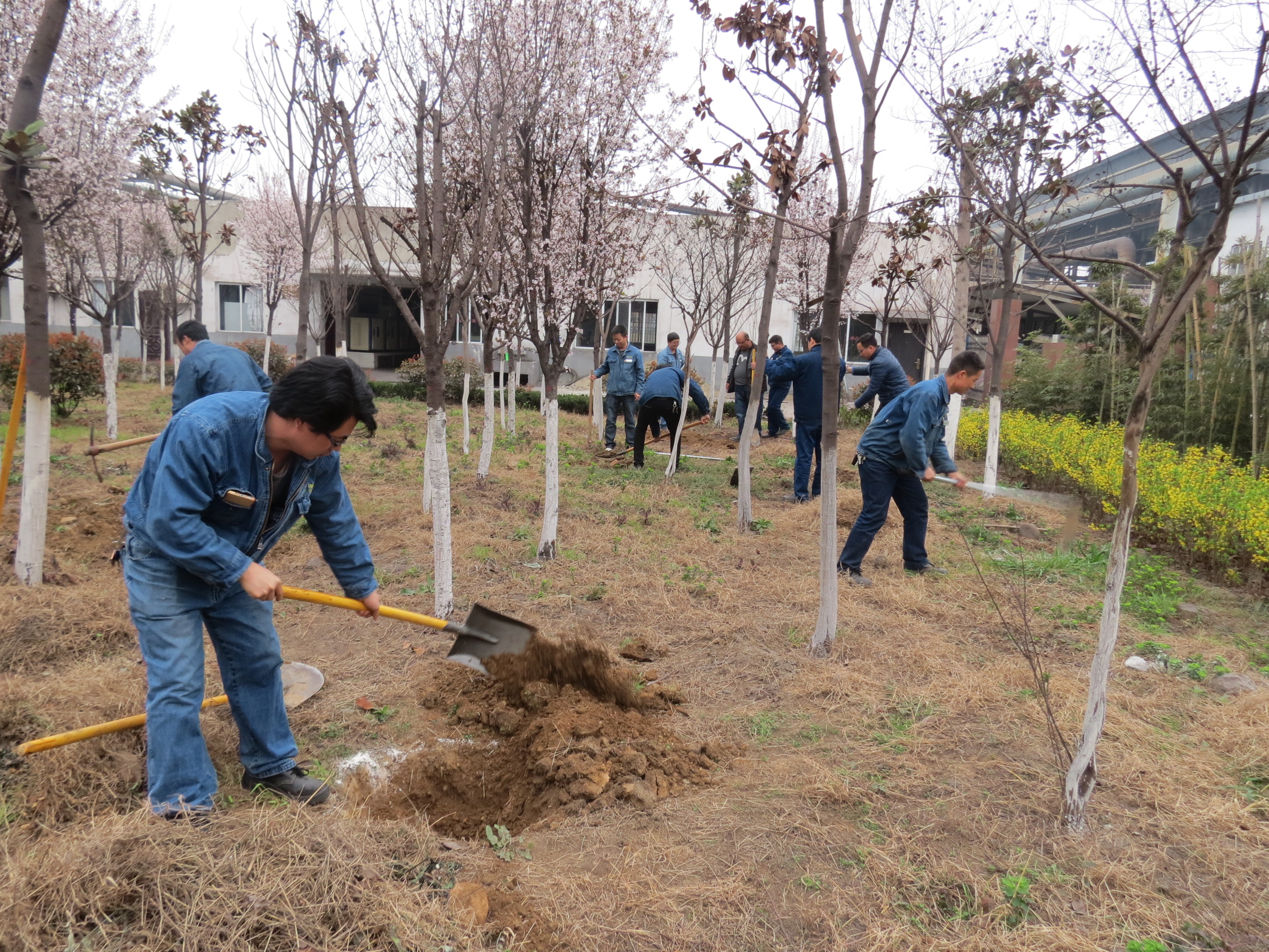 用行动诠释“雷锋”精神---汉钢计量检验中心共青团工作纪实