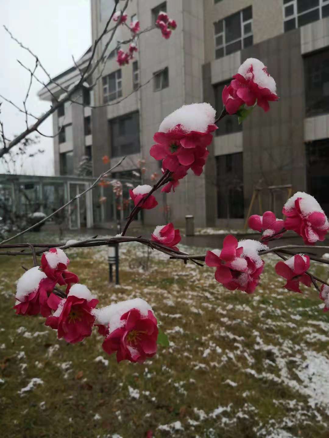 2018年第一场雪