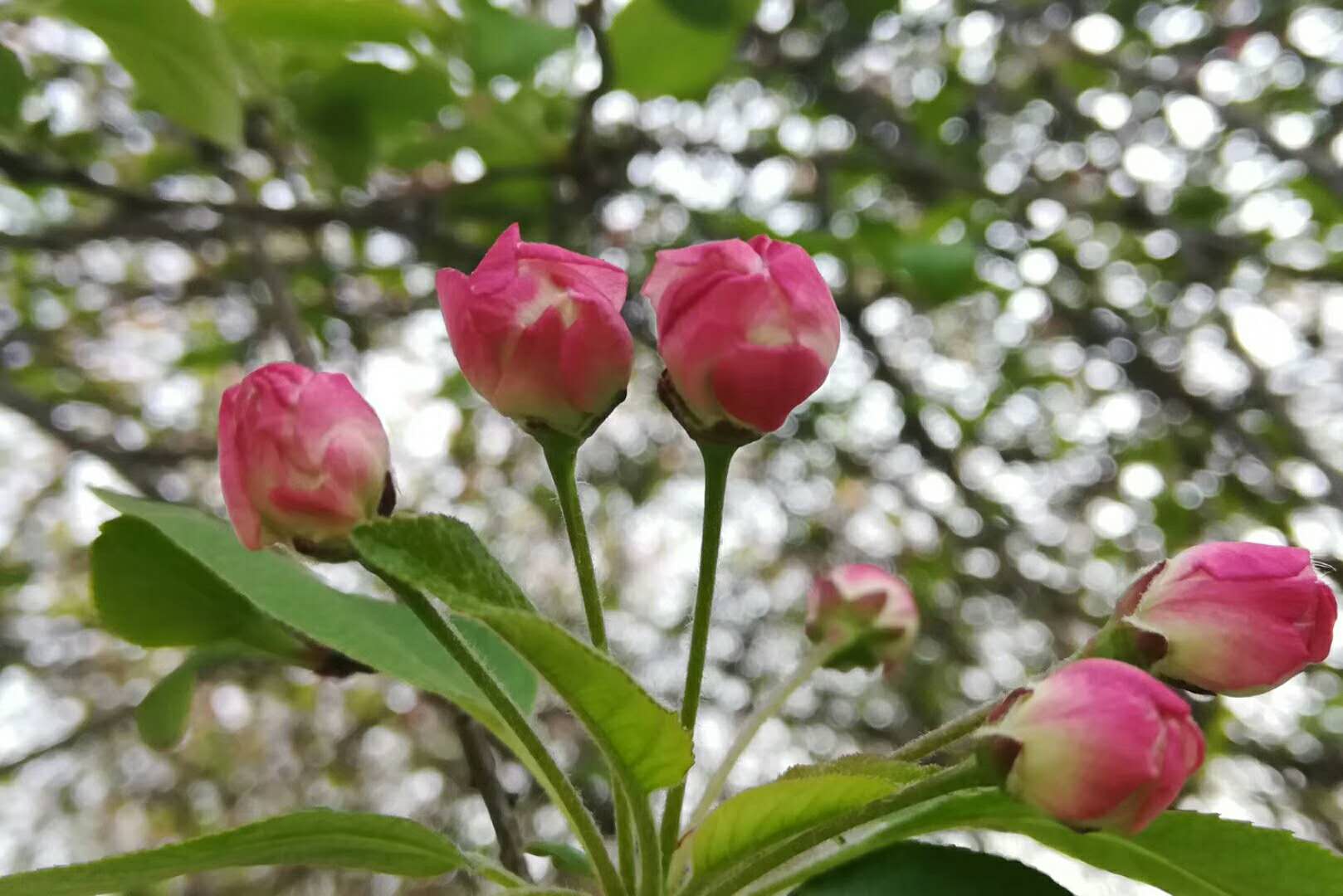 春雨来过