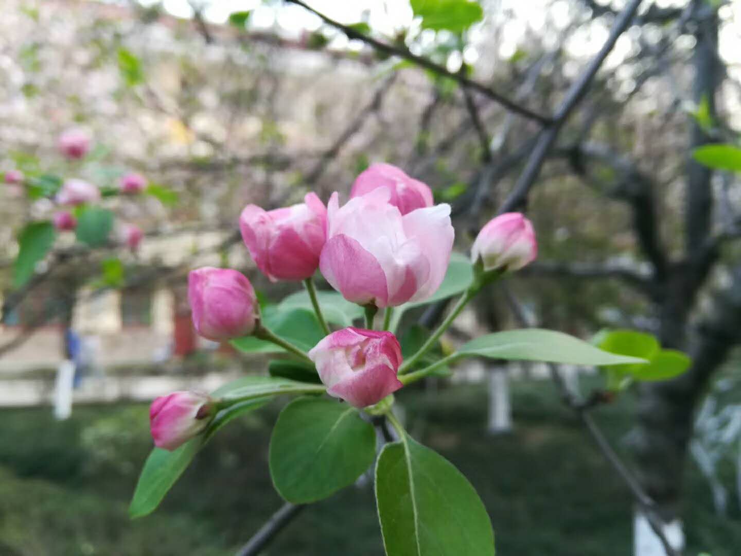 春雨来过