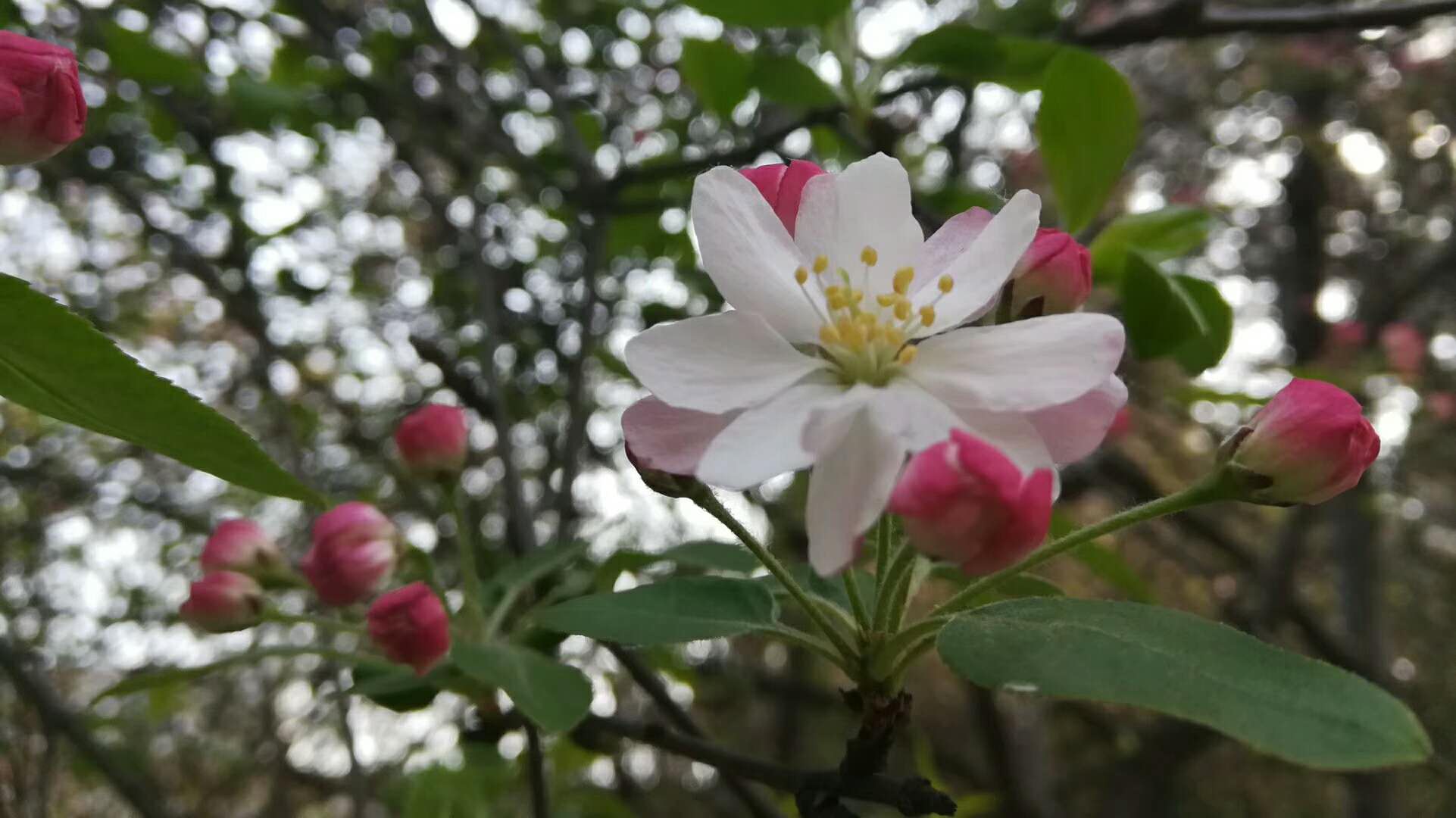 春雨来过